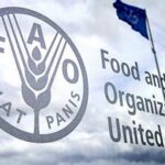 FAO: Indeks cijena hrane porastao u aprilu, treći mjesec zaredom