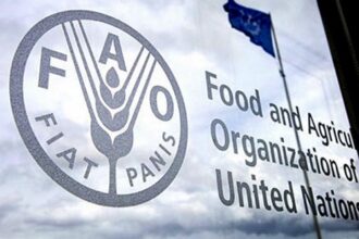 FAO: Indeks cijena hrane porastao u aprilu, treći mjesec zaredom