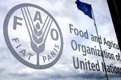 FAO: Indeks cijena hrane porastao u aprilu, treći mjesec zaredom