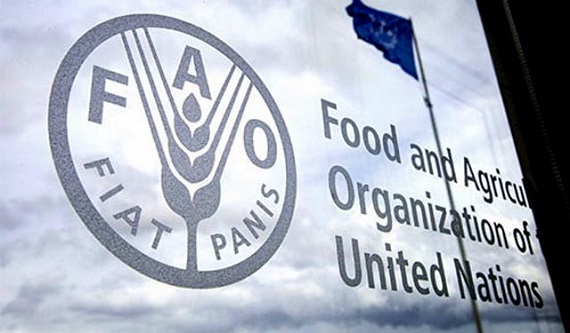 FAO: Indeks cijena hrane porastao u aprilu, treći mjesec zaredom