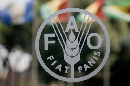 FAO indeks cijena hrane blago porastao u julu: Vremenski ekstremi, energija i geopolitika pritišću tržišta