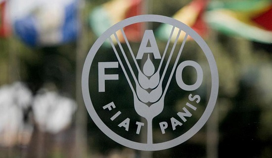 FAO indeks cijena hrane blago porastao u julu: Vremenski ekstremi, energija i geopolitika pritišću tržišta