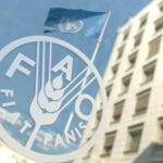 FAO: Svjetske cijene hrane u augustu porasle 1,9 posto u odnosu na juli