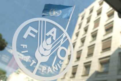FAO: Svjetske cijene hrane u augustu porasle 1,9 posto u odnosu na juli